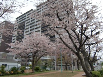 CIMG7275
